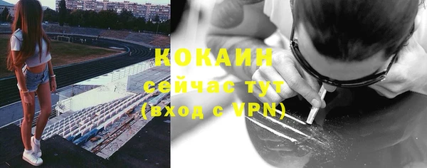 ГАЛЛЮЦИНОГЕННЫЕ ГРИБЫ Покровск
