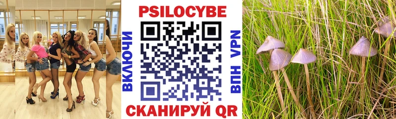 Псилоцибиновые грибы мухоморы  наркошоп  Харовск 
